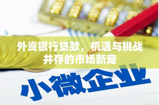 吴桥外资银行贷款，机遇与挑战并存的市场新宠