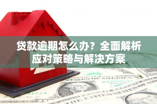 吴桥贷款逾期怎么办？全面解析应对策略与解决方案