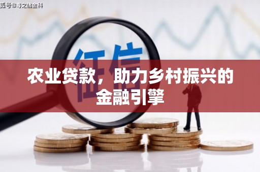 吴桥农业贷款，助力乡村振兴的金融引擎