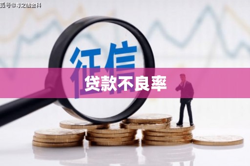 吴桥贷款不良率