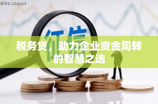 吴桥税务贷，助力企业资金周转的智慧之选