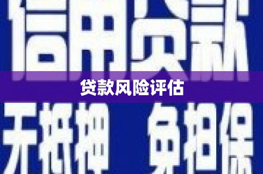 吴桥贷款风险评估