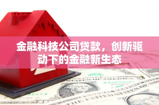 吴桥金融科技公司贷款，创新驱动下的金融新生态