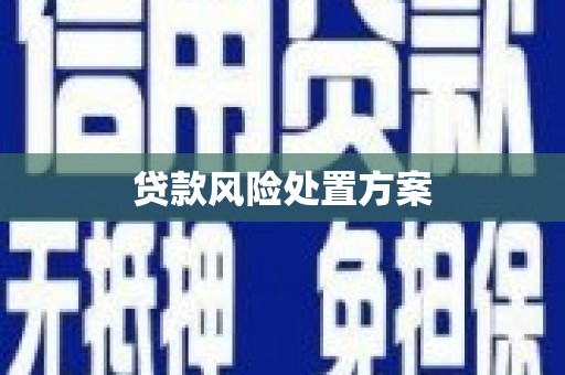 吴桥贷款风险处置方案