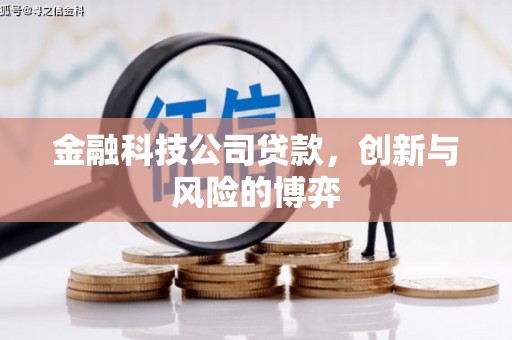 吴桥金融科技公司贷款，创新与风险的博弈