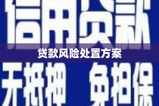 吴桥贷款风险处置方案