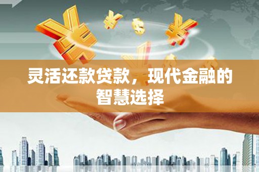 吴桥灵活还款贷款，现代金融的智慧选择