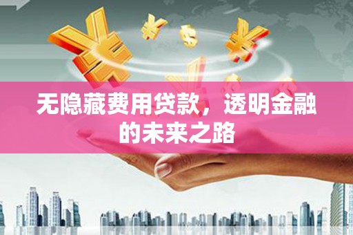 吴桥无隐藏费用贷款，透明金融的未来之路