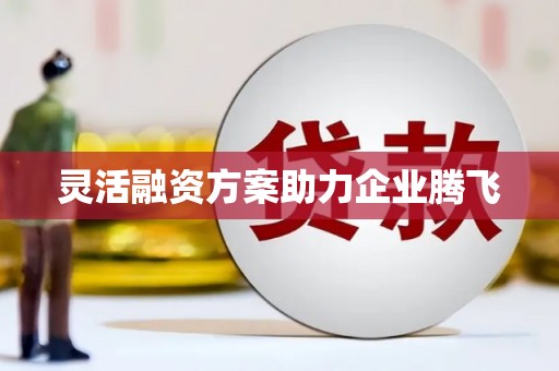 吴桥灵活融资方案助力企业腾飞