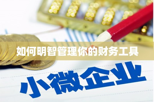 吴桥如何明智管理你的财务工具