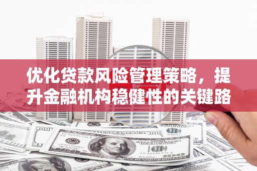 吴桥优化贷款风险管理策略，提升金融机构稳健性的关键路径