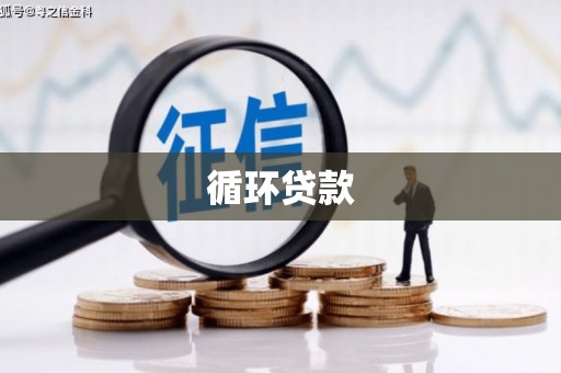 吴桥循环贷款