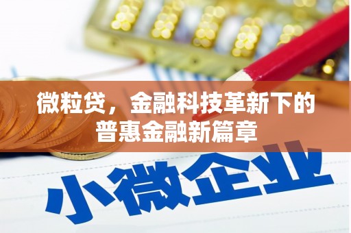 吴桥微粒贷，金融科技革新下的普惠金融新篇章