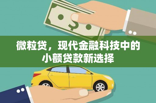 吴桥微粒贷，现代金融科技中的小额贷款新选择