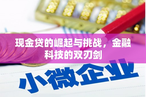 吴桥现金贷的崛起与挑战，金融科技的双刃剑