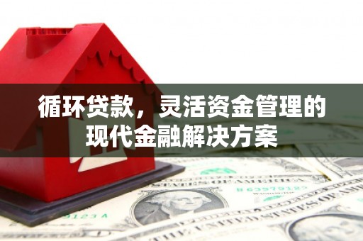 吴桥循环贷款，灵活资金管理的现代金融解决方案