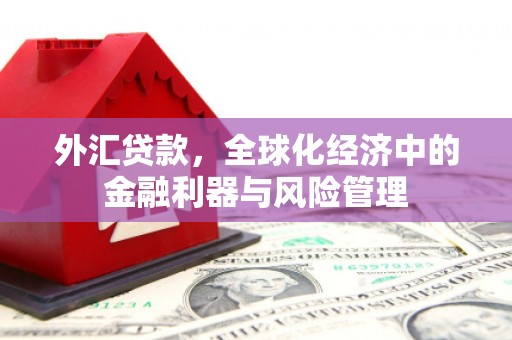 吴桥外汇贷款，全球化经济中的金融利器与风险管理