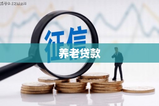 吴桥养老贷款