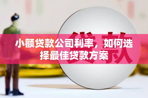 吴桥小额贷款公司利率，如何选择最佳贷款方案