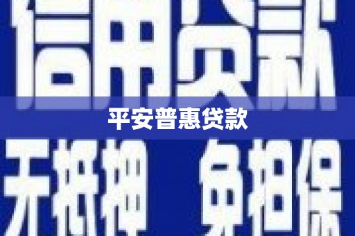 吴桥平安普惠贷款