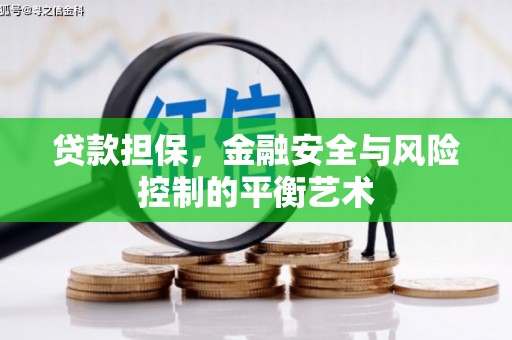 吴桥贷款担保，金融安全与风险控制的平衡艺术