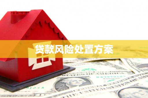 吴桥贷款风险处置方案