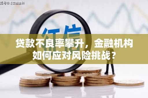 吴桥贷款不良率攀升，金融机构如何应对风险挑战？