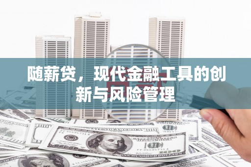 吴桥随薪贷，现代金融工具的创新与风险管理