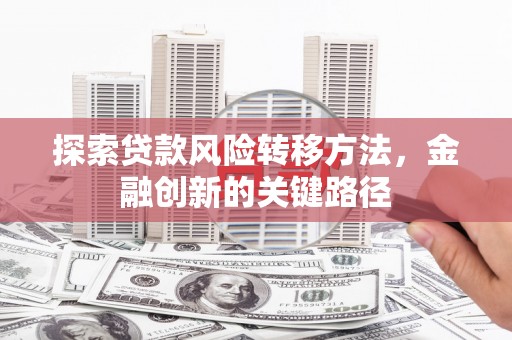 吴桥探索贷款风险转移方法，金融创新的关键路径