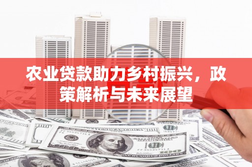 吴桥农业贷款助力乡村振兴，政策解析与未来展望