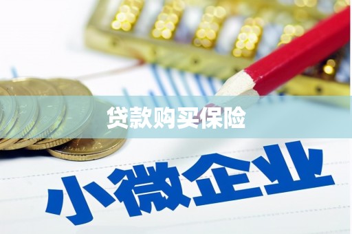 吴桥贷款购买保险