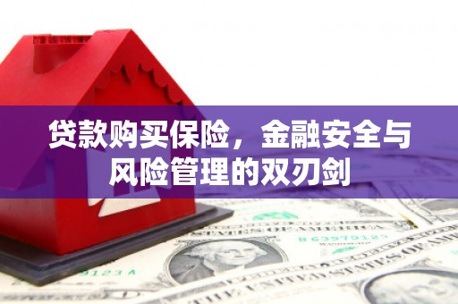 吴桥贷款购买保险，金融安全与风险管理的双刃剑