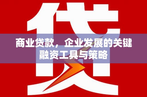 吴桥商业贷款，企业发展的关键融资工具与策略