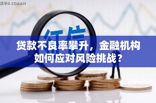 吴桥贷款不良率攀升，金融机构如何应对风险挑战？