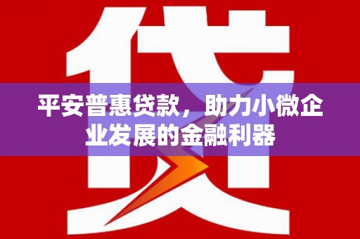 吴桥平安普惠贷款，助力小微企业发展的金融利器
