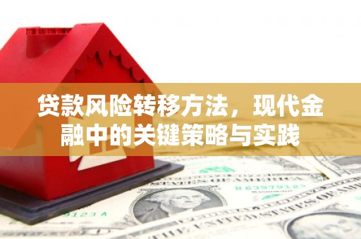 吴桥贷款风险转移方法，现代金融中的关键策略与实践