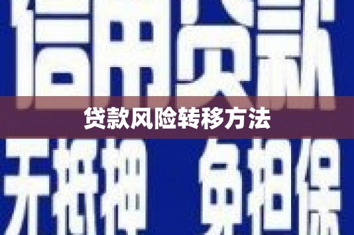 吴桥贷款风险转移方法