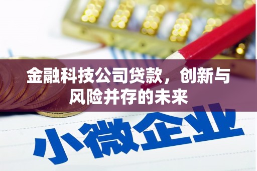 吴桥金融科技公司贷款，创新与风险并存的未来
