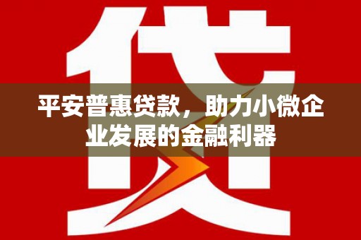 吴桥平安普惠贷款，助力小微企业发展的金融利器
