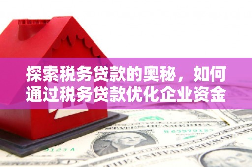 吴桥探索税务贷款的奥秘，如何通过税务贷款优化企业资金流