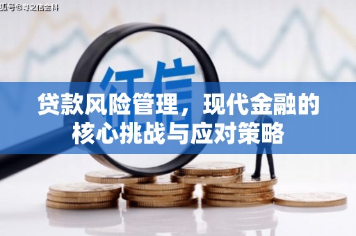 吴桥贷款风险管理，现代金融的核心挑战与应对策略