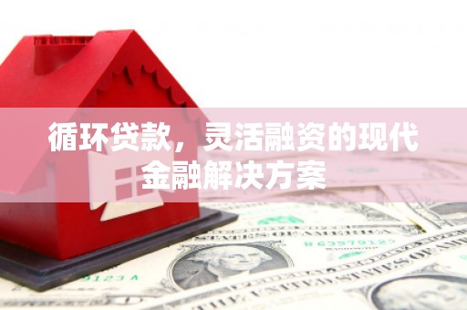 吴桥循环贷款，灵活融资的现代金融解决方案