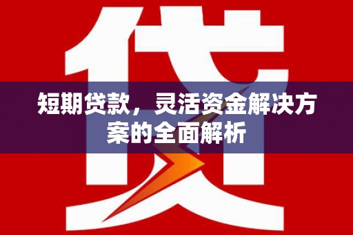吴桥短期贷款，灵活资金解决方案的全面解析