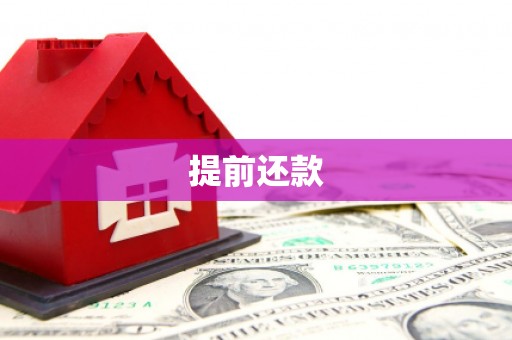 吴桥提前还款