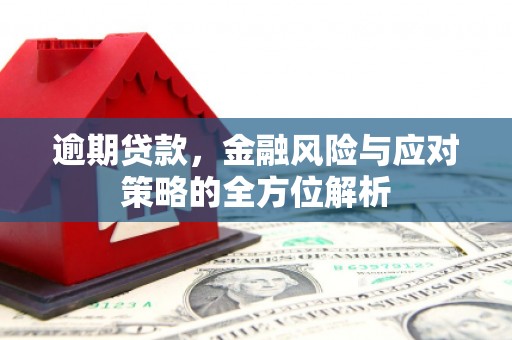 吴桥逾期贷款，金融风险与应对策略的全方位解析