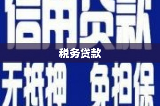 吴桥税务贷款