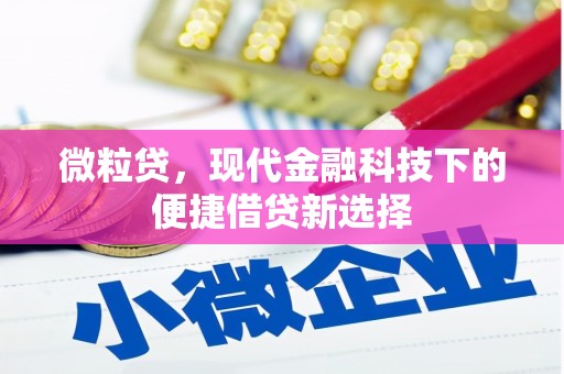 吴桥微粒贷，现代金融科技下的便捷借贷新选择