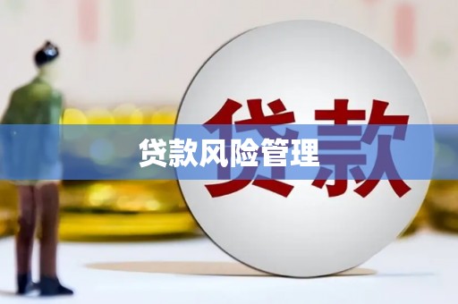 吴桥贷款风险管理