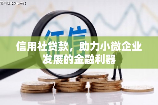 吴桥信用社贷款，助力小微企业发展的金融利器