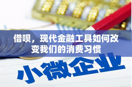 吴桥借呗，现代金融工具如何改变我们的消费习惯